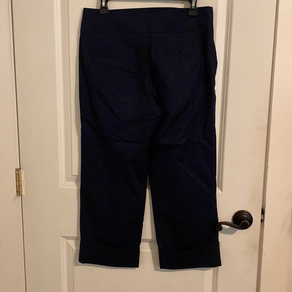 Cartonnier for Anthropology wide leg, cropped pant - Picture 2 of 9